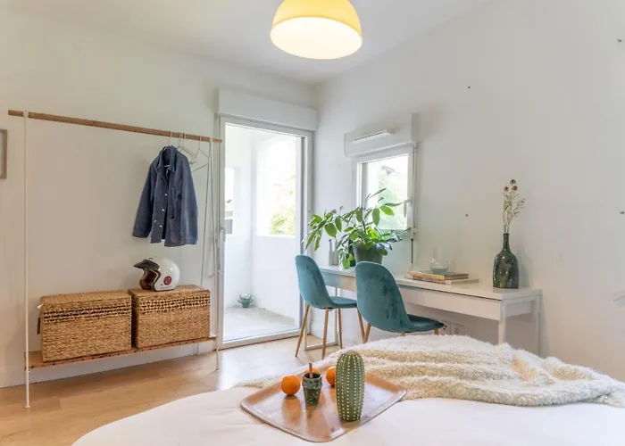 Bel Appartement Lumineux A Biarritz